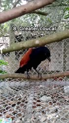 1665833156287.mp4