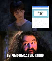 мем.jpg