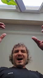 video5276076309036950593.mp4