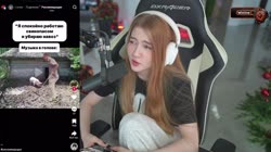 media.mp4