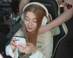 Screenshot20250317141526Twitch.jpg