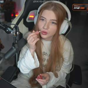 Screenshot20250317133411Twitch.jpg