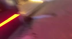 -1601622456108871898.mp4