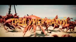17568171764920.mp4