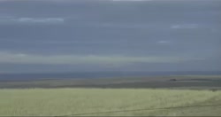 невинность сна.webm