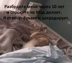 1743754757933.jpg