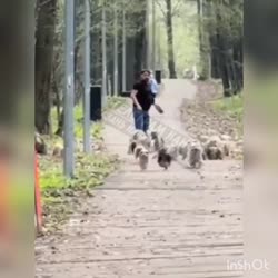 17459470968030.mp4