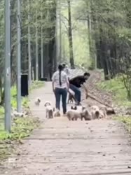 17459384408040.mp4