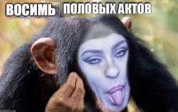 17449922185501-восстановлено.png