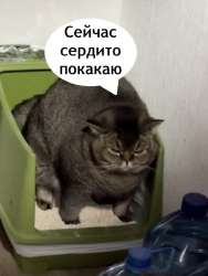 nbjjlrY0CNVMuKi7Pta7EwEyfJGlRRg0Uyjd1Ts-z1brpExUR7mrSo3z7YAlUXbpL2fo2AHIXnPfgoOFX-gZlB.jpg