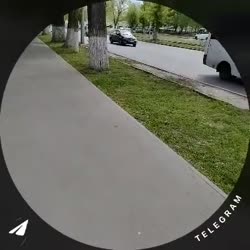 1746097113450.mp4