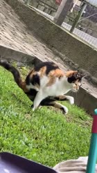 17395410550640.mp4