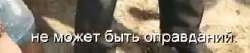 01535790463105.png