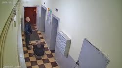 тонилайферы.mp4