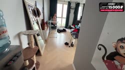 202505044.mp4