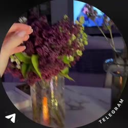 video.mp4