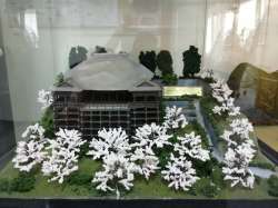 IMG20250403151118.jpg