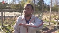 Вообще похую.mp4