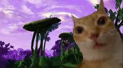 Skooma 1.mp4