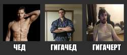 gigachert.jpg