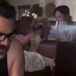 tweeloade0ofk4xx.mp4