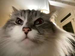 173635968470332505902.jpeg