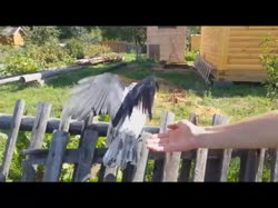 16013011992430.webm