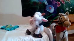 17395588250601.webm