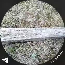 1747824942969.mp4