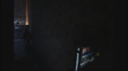 ваномас петух.webm