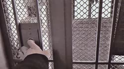 (Адрес вскрыт) Распашник КМЗ-1960.mp4