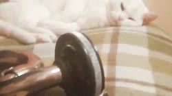 Мура! Так!.mp4