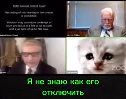 016341648946.mp4