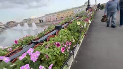 занюх.mp4