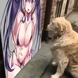 17473273515851.mp4