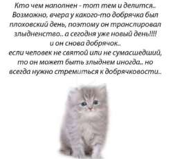 IMG1733.jpeg