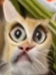 1747241459620.png