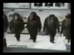 15765414803541.webm