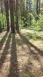VID20250520115958696.mp4