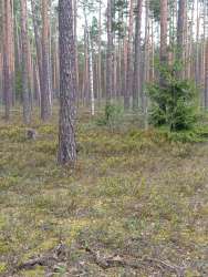IMG20250520215806070.jpg