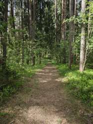 IMG20250521104117.jpg