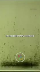 16870569194470.mp4