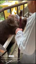 Xingxing turns on the faucet without turning off the water - YouTube — Mozilla Firefox 2025-05-16 16-20-45 (online-video-cutter.com).mp4