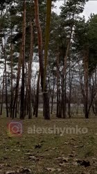 Прыжок на канат с места – без страховки!.mp4