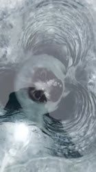 1627399053951.mp4
