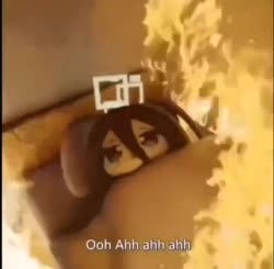 .mp4