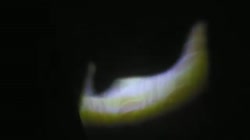 16709478429651.mp4