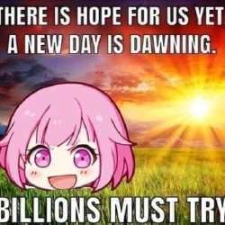 .jpg