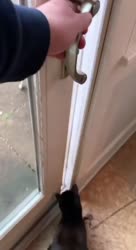 1627240662451.MP4