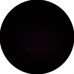 7574354654.mp4